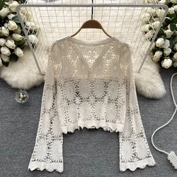 Camicetta da donna con ricamo a maglia aperta a maniche lunghe con scollo a v sul davanti con bottoni trasparenti all'uncinetto