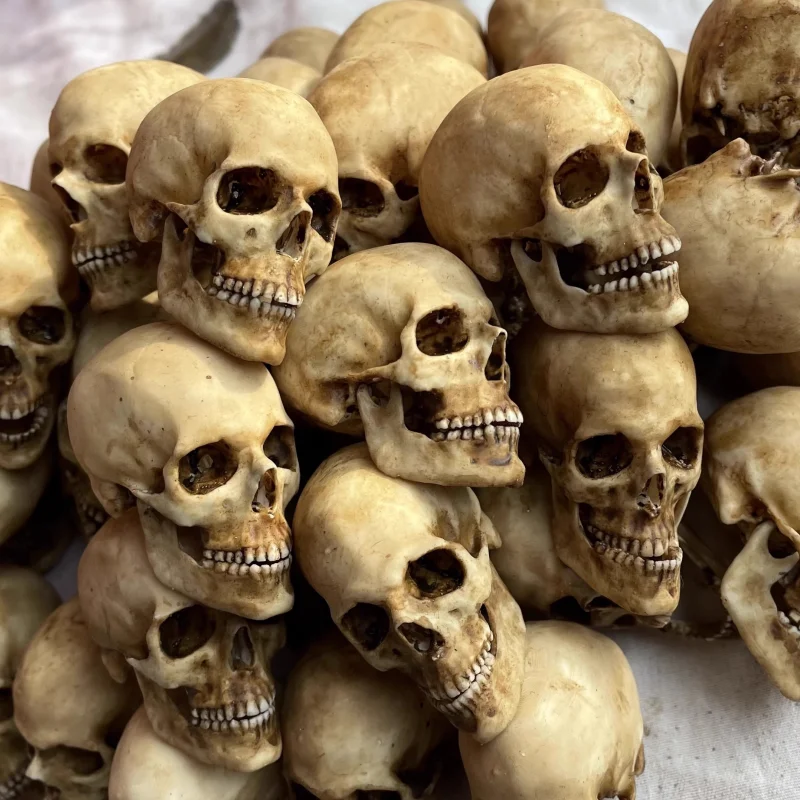 1/6 Scale Retro Human Skull Skeleton PVC Model Pendant Decorations 12in Action Figure Toys Accessory Aquariums Decoration New