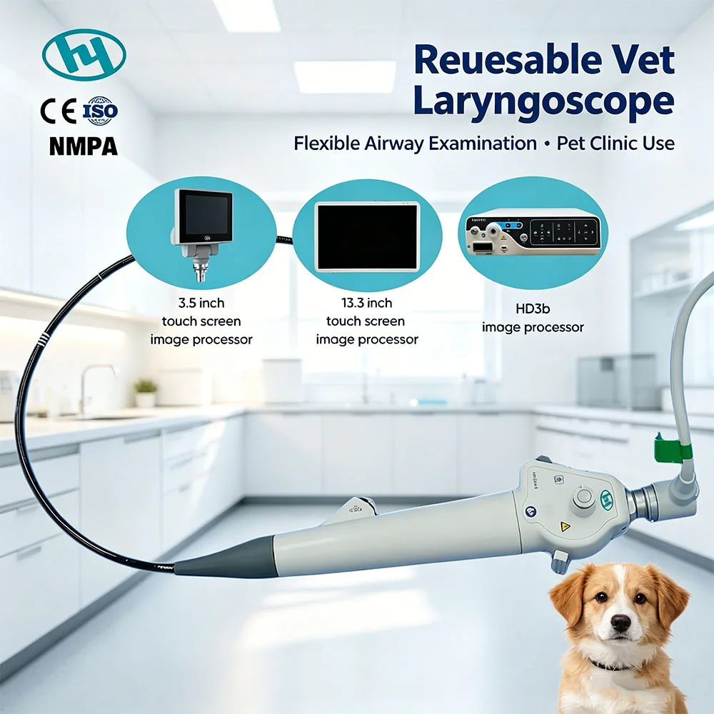 Variable 3mm To 150mm Field Depth Reusable Veterinary ENT Instrument Flexible Shaft Reduce Animal Mucous Trauma During Check
