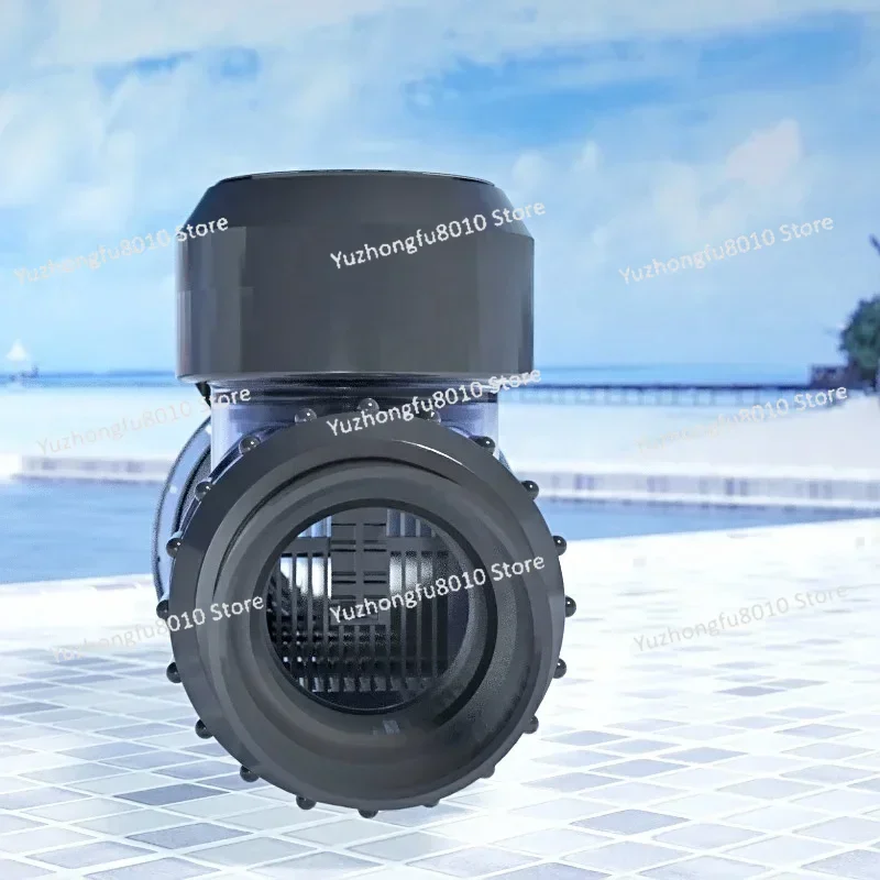 Swimming Pool Salt Water Chlorinator 25g Factory Chlorificateur De Sel Sel De Chlorification for Pool Salt Chlorine