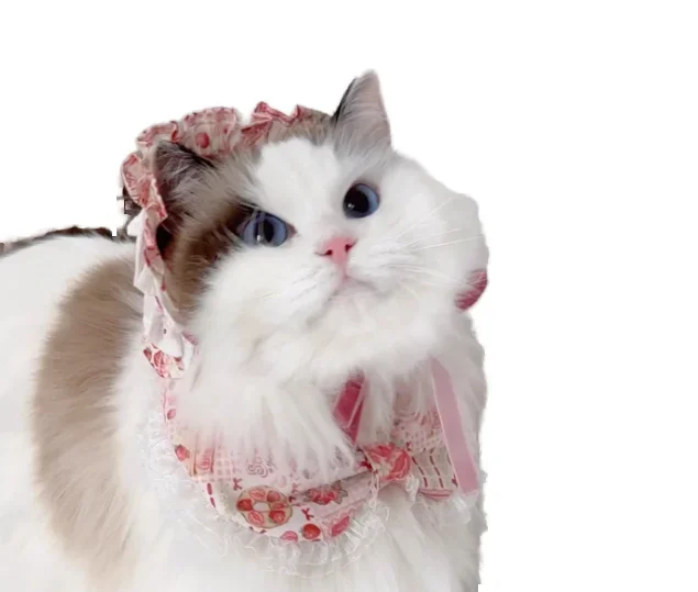 小さな動物のための綿の三角形のスカーフ、猫と犬のためのかわいい漫画のバンダナ、通気性のある縞模様のパターン、良質、新しいコレクション