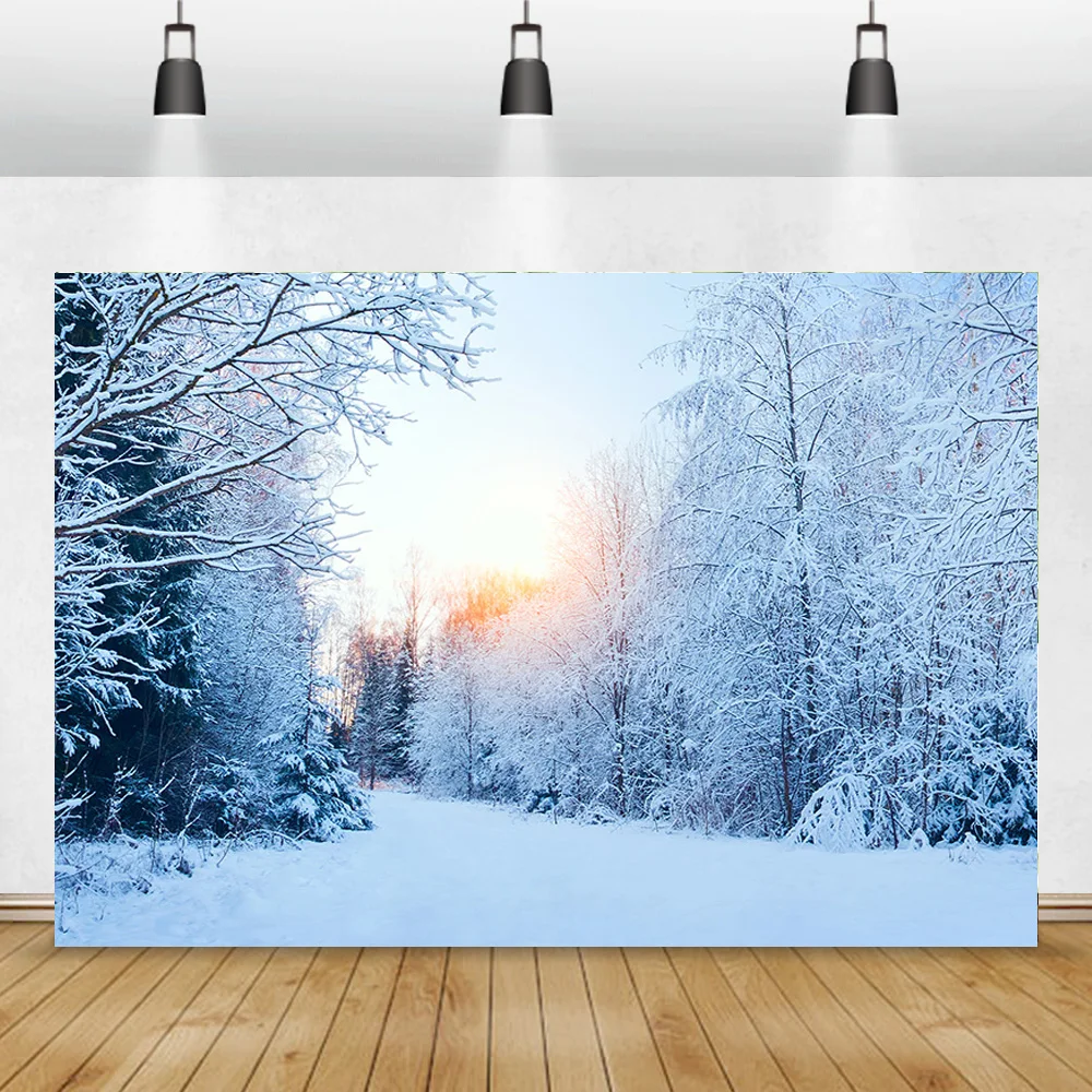 Winter Forest Fotografia Cenário, Snowcovered Road, Paisagem Snowflakes, Spruce Árvores, Photo Background, XD-03