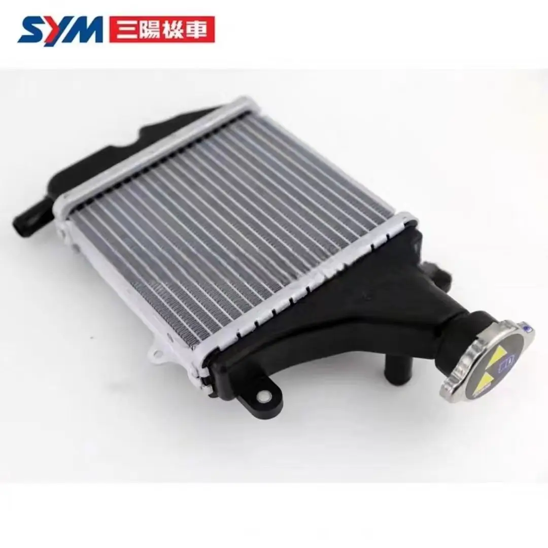 SYMSAN Yang has been drawn 150 fit three fit four 125 scooter radiator assembly water tank assembly