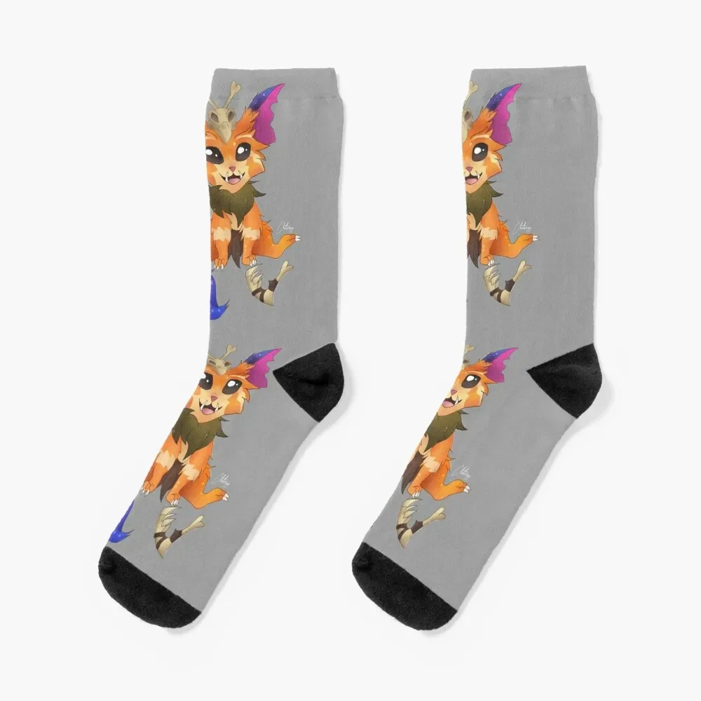 Gnar Socks Argentina sport kawaii Girl'S Socks Men's