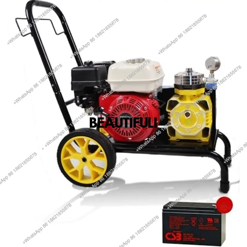 

Безвоздушный распылитель высокого давления для латексной краски, наружных стен, дизельный распылитель, распылительная маркировочная машина