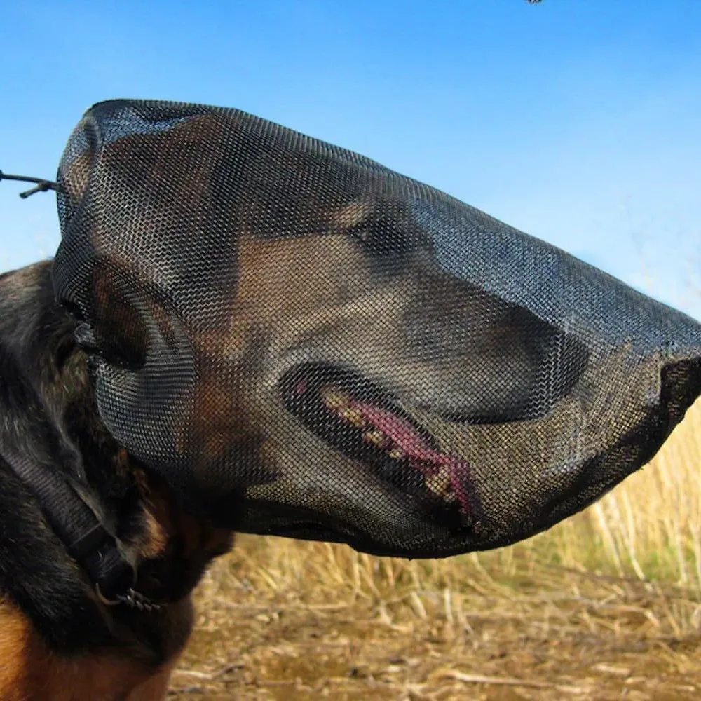 

Dog Protective Mask Breathable Foxtail Guard Lightweight Pet Face Shield Hiking Outdoor Insect Protection Safety Mask