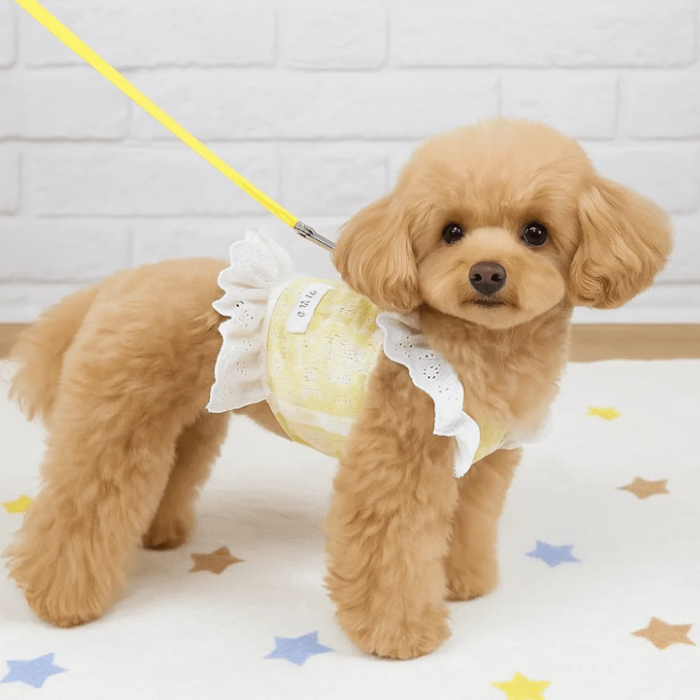 

Fashion Cute Dog Vest Harness Soft Breathable Pet Lace Sleeve Dress Thin Design Cat Chest Strap For Puppy Kittens