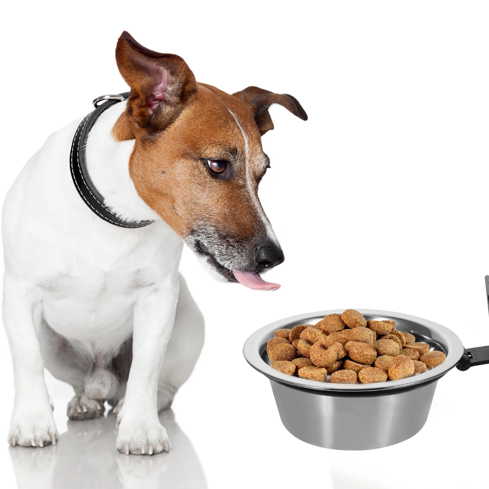Elevated Dog Bowl Food and Water Bowls Cat Wall Mounted Pet for Dogs Dish Rack Puppy
