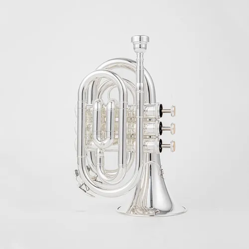 Imagen 2 del producto Vincent BACH Mini trompeta de bolsillo Bb instrumento de viento plano de latón con boquilla guantes paño de limpieza Estuche de transporte