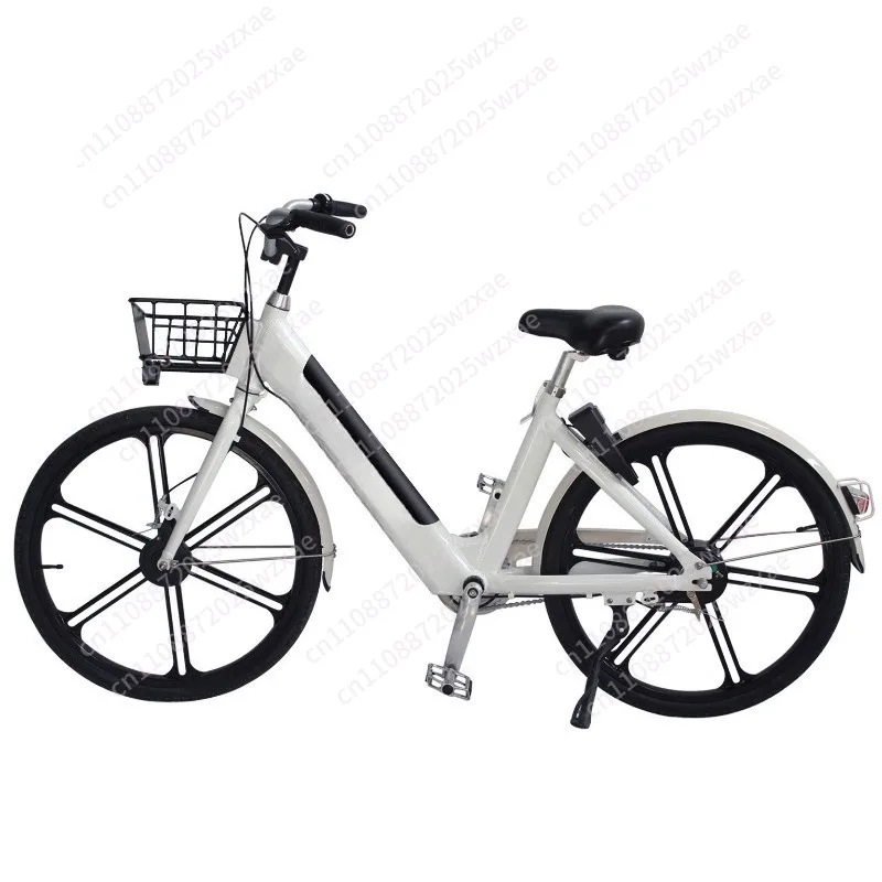 Bicycle export mountain bike long endurance power bike