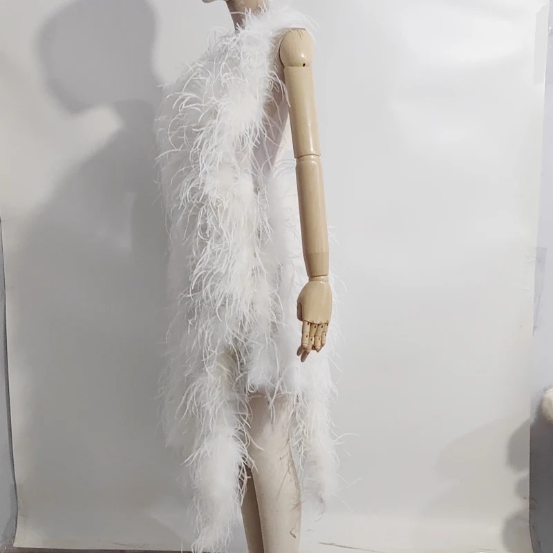 Neuestes Design eines Kleides aus 100% natürlichen Straußenfedern, mehrfach geschwungenes Design, durchsichtiges rückenfreies Kleid, sexy Damenkleid. – Detail 6