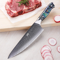 FINDKING 8 Inch Chef Knife Abalone Shell Handle 67 Layers Damascus Steel 9Cr18MoV Sharp Cleaver Slicing Japanese Kitchen Knives