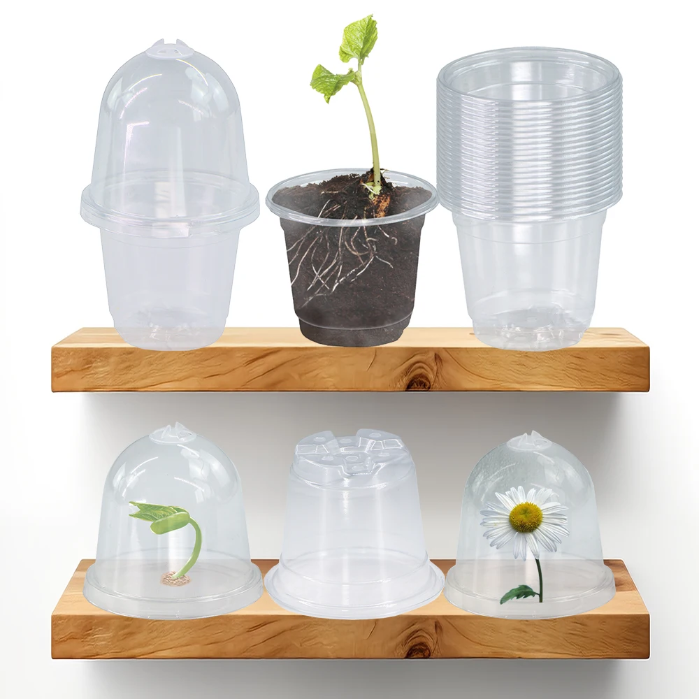 170x105MM Transparent PET Seedling Cup with Lid for Garden Indoor Plants Seed Germinate Cultivation Container Mini Nursery Pot