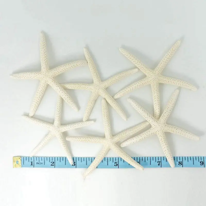 12PCS White Finger Starfish 5-10Cm Decorative Five-Finger Starfish