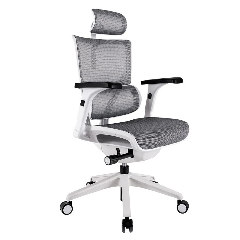 

Ergonomic chair computer chair bedroom live streaming host lift chair light office