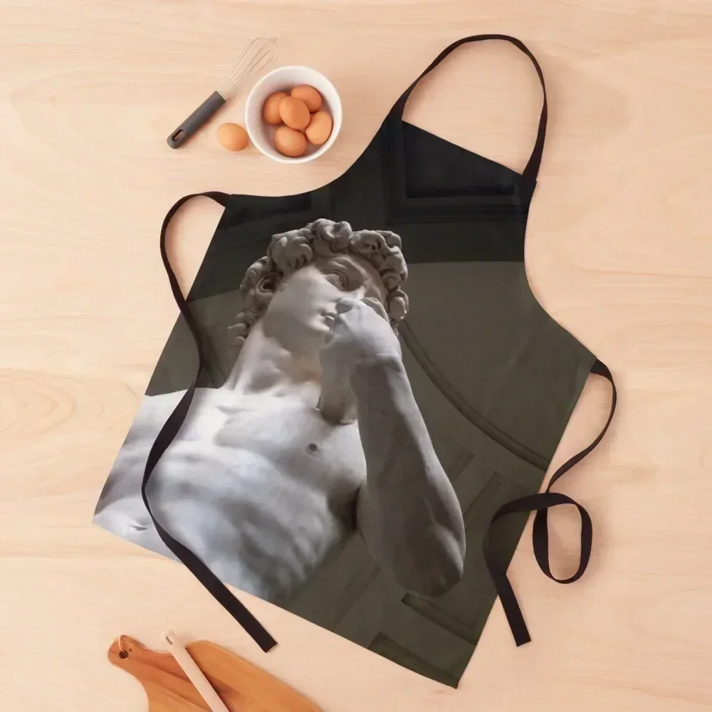 

The Statue Of David Apron cooks clothes For Kitchen Women Smock for hairdressing Kitchen Things Apron