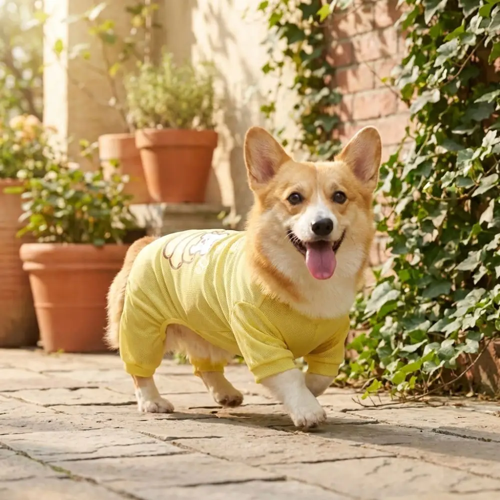 UV Protection Pet Cooling Jumpsuit Breathable Soft Fabric Dog Sunscreen Clothes Quick Drying Elastic Pet Four-Legged Clothes