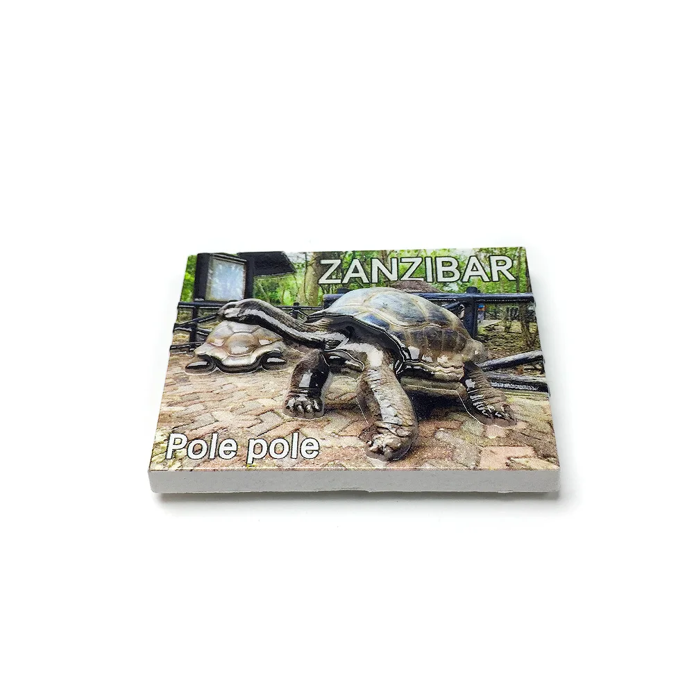 ‌Zanzibar 3D Resin Fridge Magnets - Decorative Refrigerator Magnets with Giant Tortoise & “Pole Pole” Theme, Cute & Quirky Ho