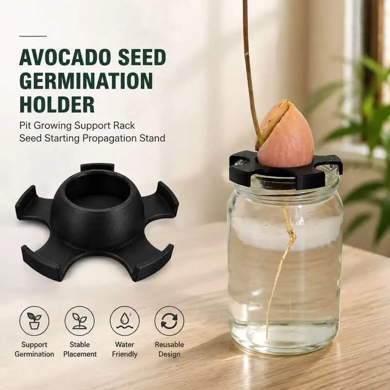 Avocado Seed Germination Holder Pit Growing Support Rack Seed Starting Propagation Stand