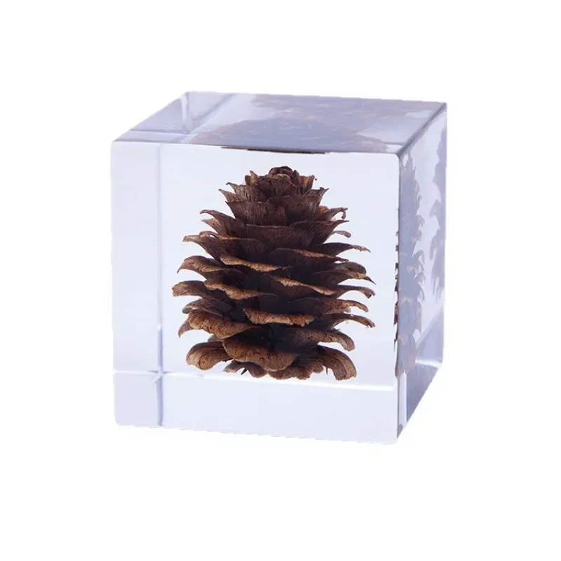 

Resin specimen interior wall decoration