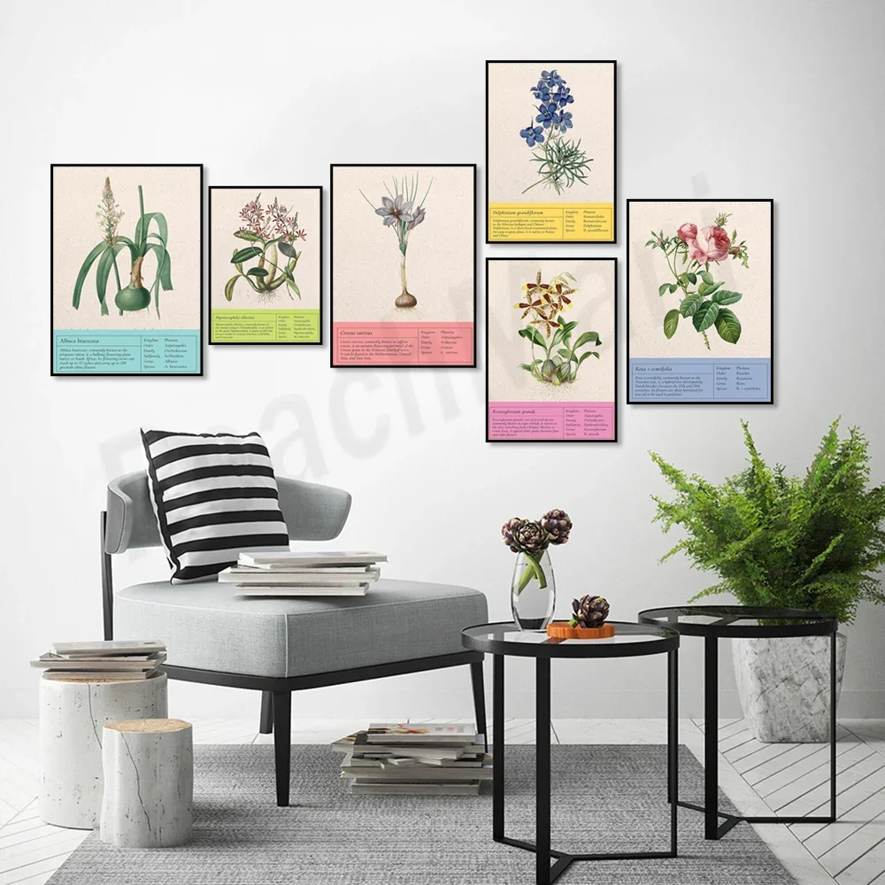 Cartel botánico vintage, cebolla, delfinio, croco, lirio de agosto, lirio de agua, rosa, decoración de pared floral botánica de orquídeas tigre