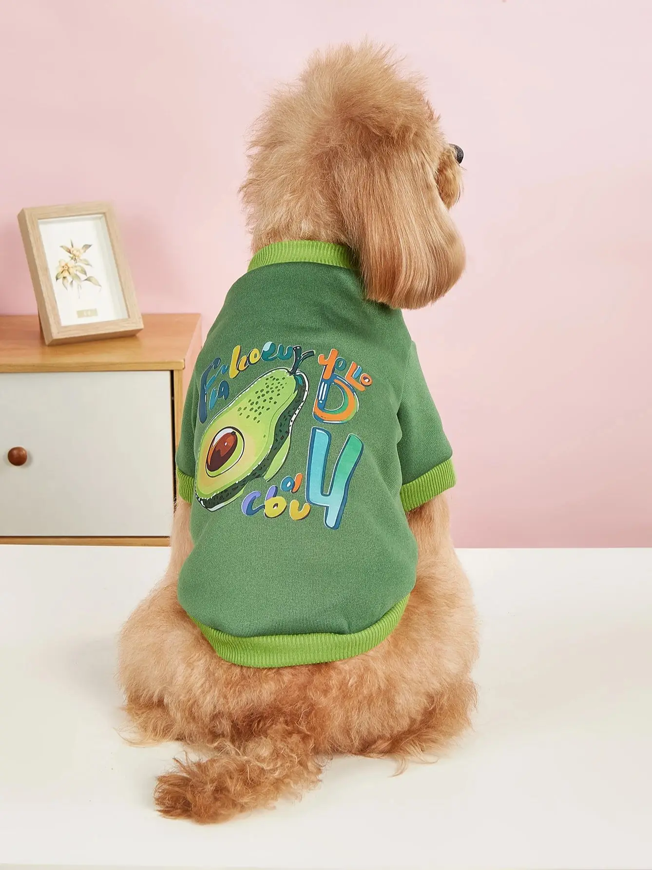 Pet green sweatshirt The avocado pattern is suitable for sma