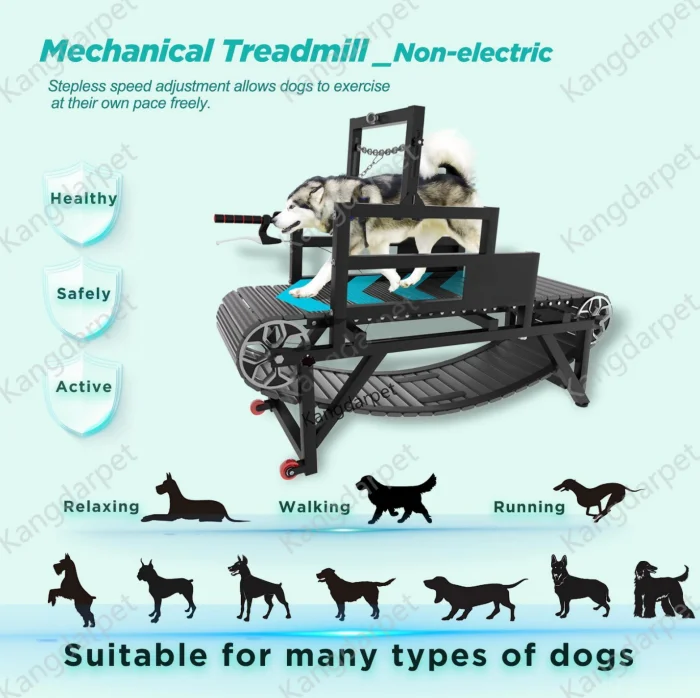Professional Foldable Dog Treadmill For Small/Large Dogs | Adjustable Speed Pet Running Machine | Rehab & Training Equipment