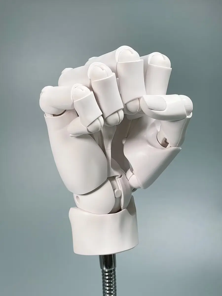 

Кронштейн модели руки 1:1 с подвижным пальцем — стандартная левая/правая рука для рисования и эскизов