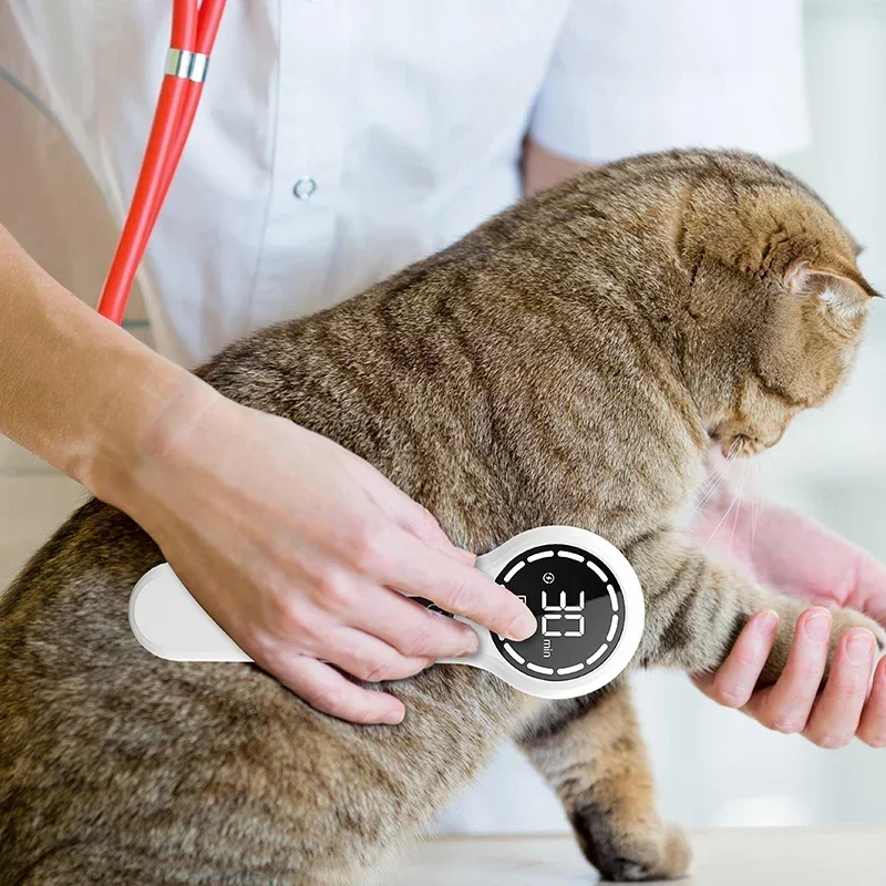 

Veterinary Portable Handheld Lcd Display Dog Horse Low Level Therapy Pain Relief Device Animals Pets Wound Healing Machine