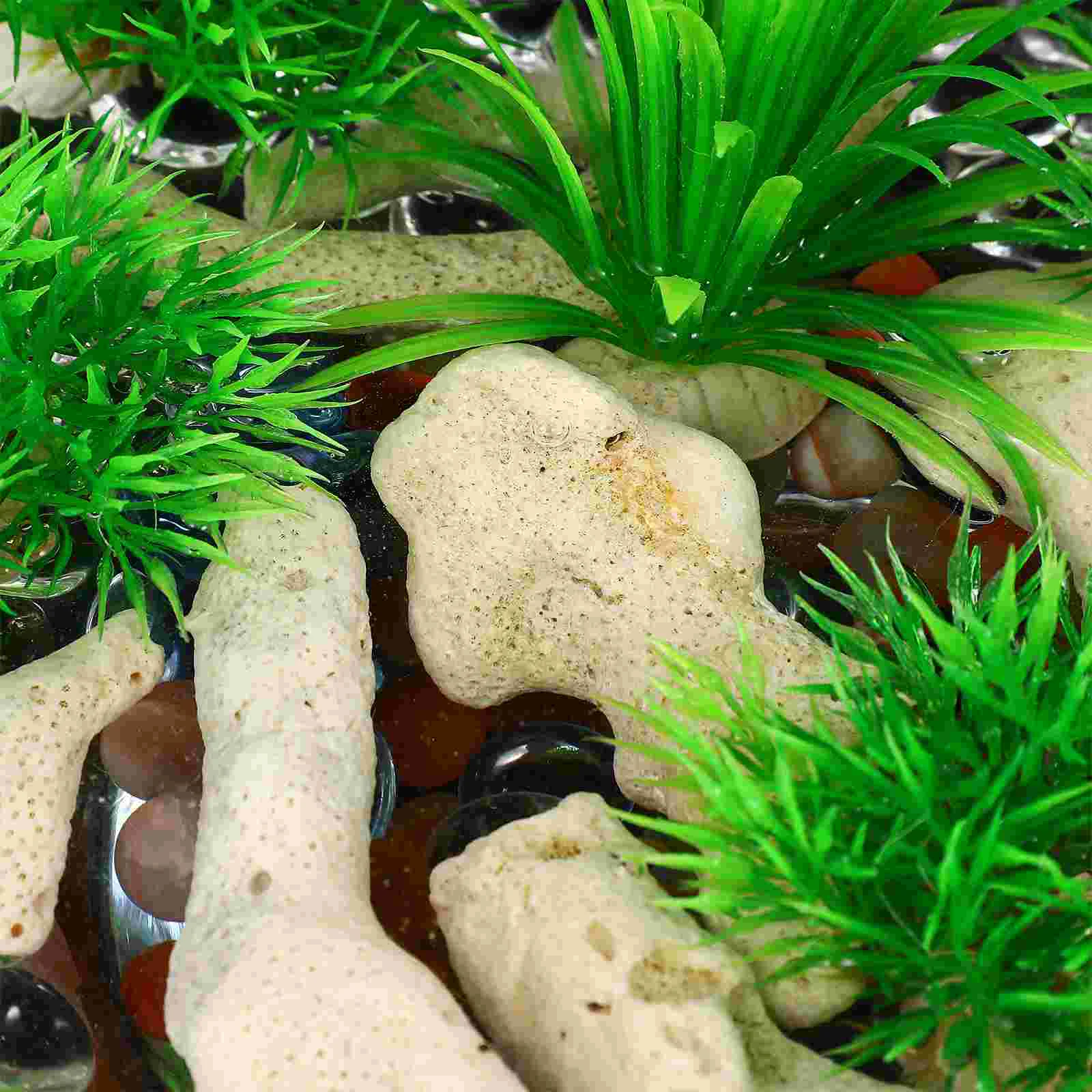 3 10CM Coral Aquarium Substrate 500g Natural Filtration Material Fish Tank Landscape Coral Decor Aquarium Fish Tank Stone