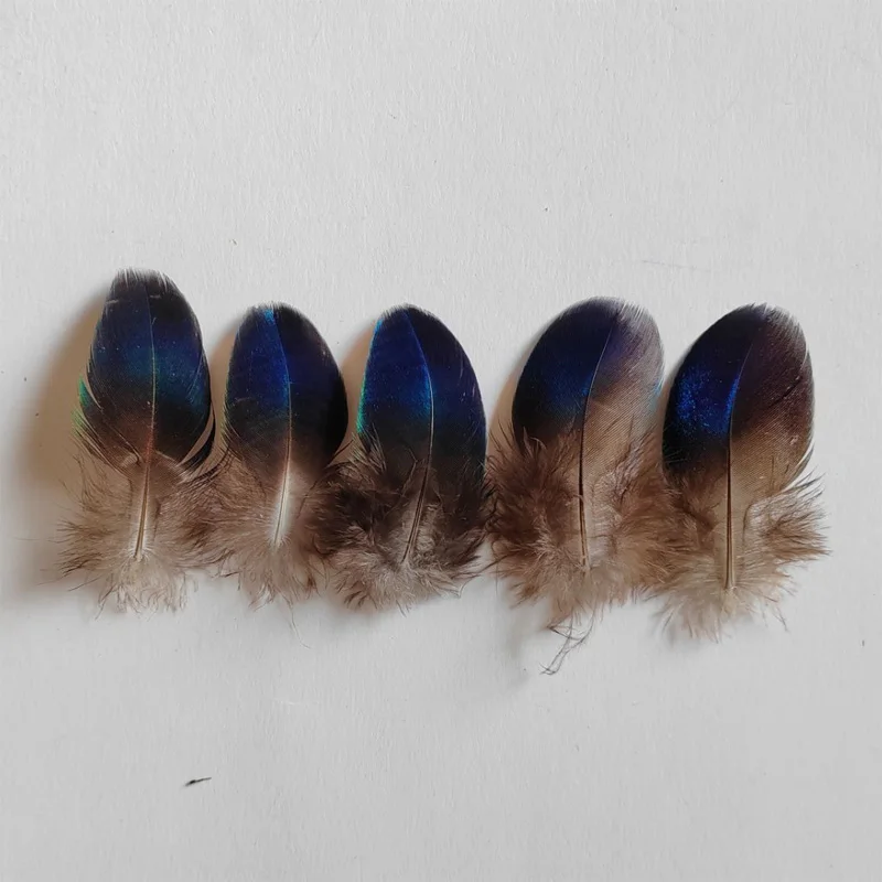 

30Pcs/lot!4-6cm long Rare Small NATURAL Blue PEACOCK WING FEATHERS LOOSE PEACOCK FEATHERS