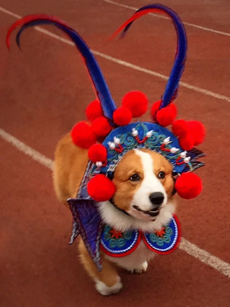 

Pet Suit Dog Cat Knife Horse Dan Clothing New Year Clothes