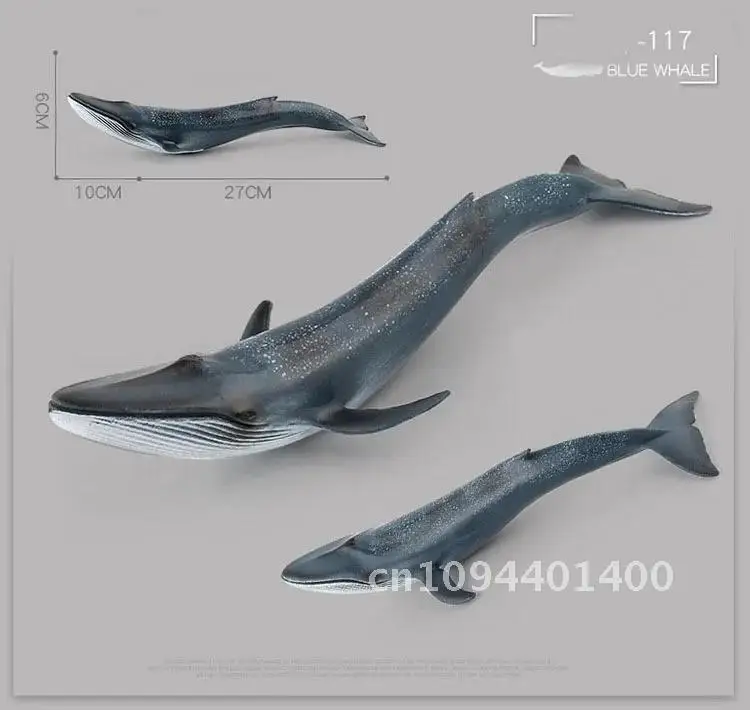 Jouet de simulation d'animaux marins pour enfants, grand requin, baleine, figurine, béluga, mégalodon dos, modèle