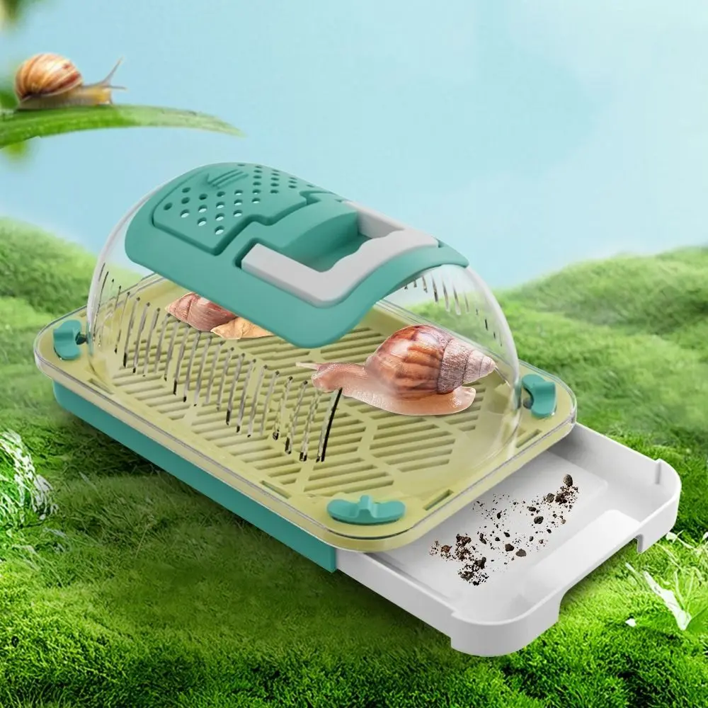 

Plastic Lizard Keeper Wear-Resistant Breathable Lizard Cage Ventilated with Handle Reptile Enclosure for Young Geckos