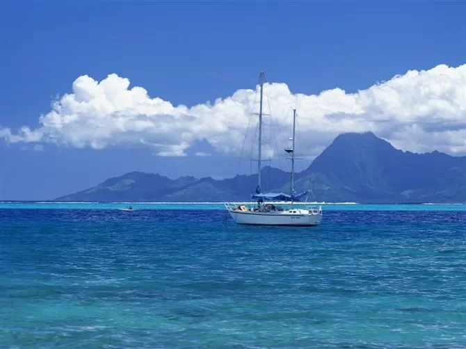 

Брызговик двигателя автомобиля, брызговик, защита от брызговика, черные аксессуары, защитный чехол для Wuling Xingchi 2022-2024