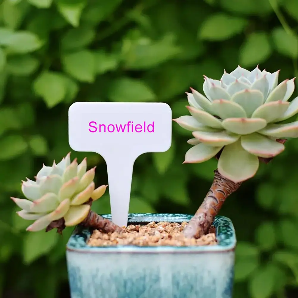 

100 Pcs Plant Label T-Shape Waterproof Plant Markers Reusable Plant Identification Tags Nursery Marker Sign for Flower Seedlings