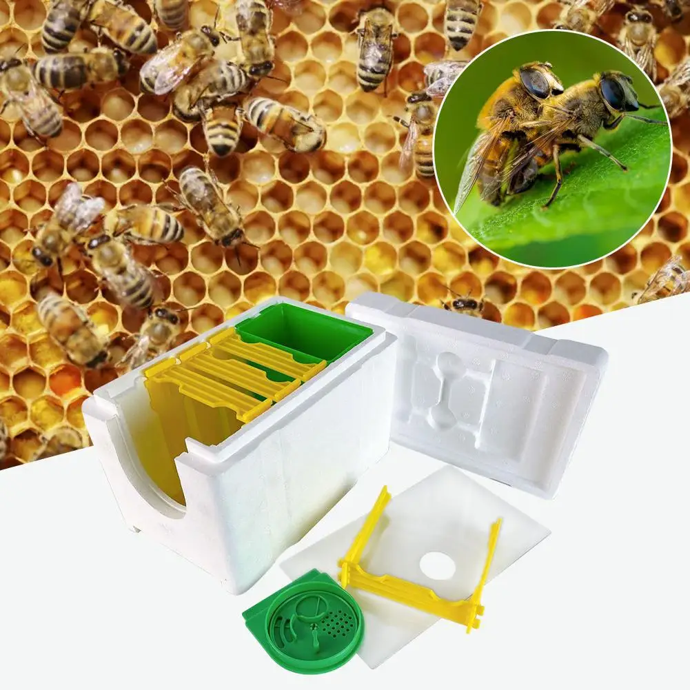 Queen Bee Rearing Mating Beehive Beekeeping Tools Foam Beehives Nuc Harvest Pollination BeesHive Box Beekeeper ﻿
