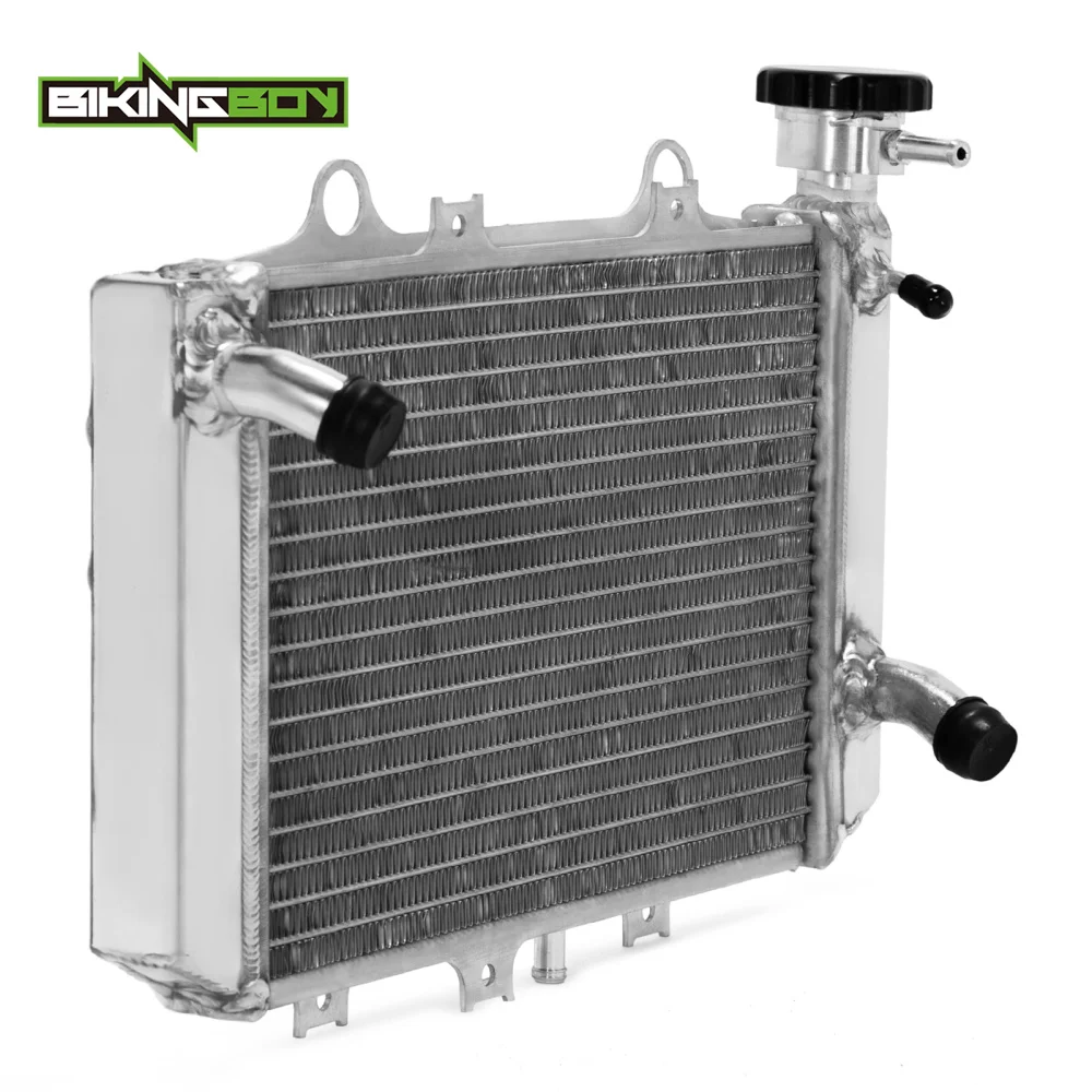 BIKINGBOY Engine Radiator Cooling Water Cooler For BMW G310GS 18 19 20 21 22 G310R 2017-2022 G 310 GS R Aluminium 17118558350