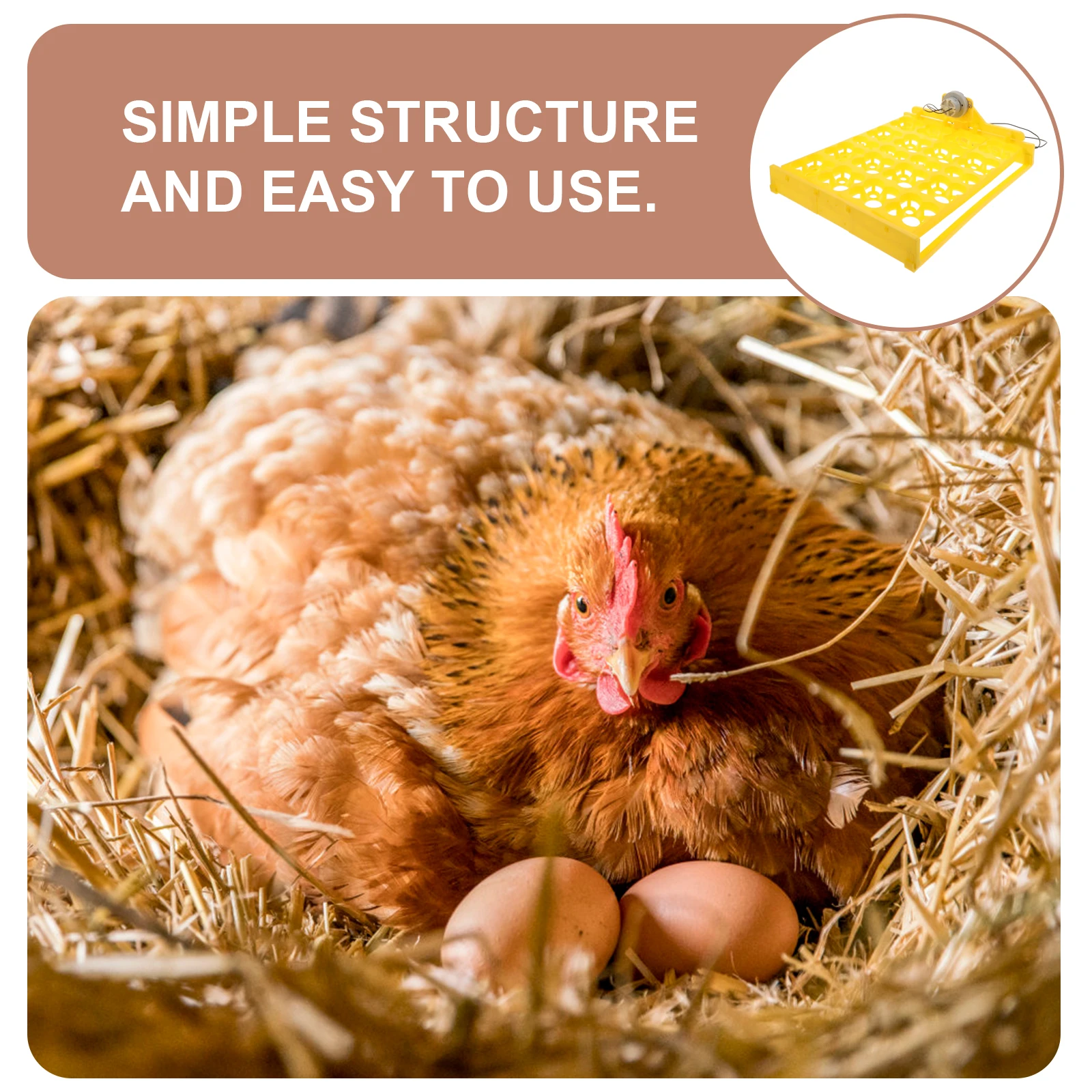 

Egg Incubator Tray Automatic Turning Durable Plastic Part for Chicken Goose Quail Turkey Eggs Efficient Hatching Use