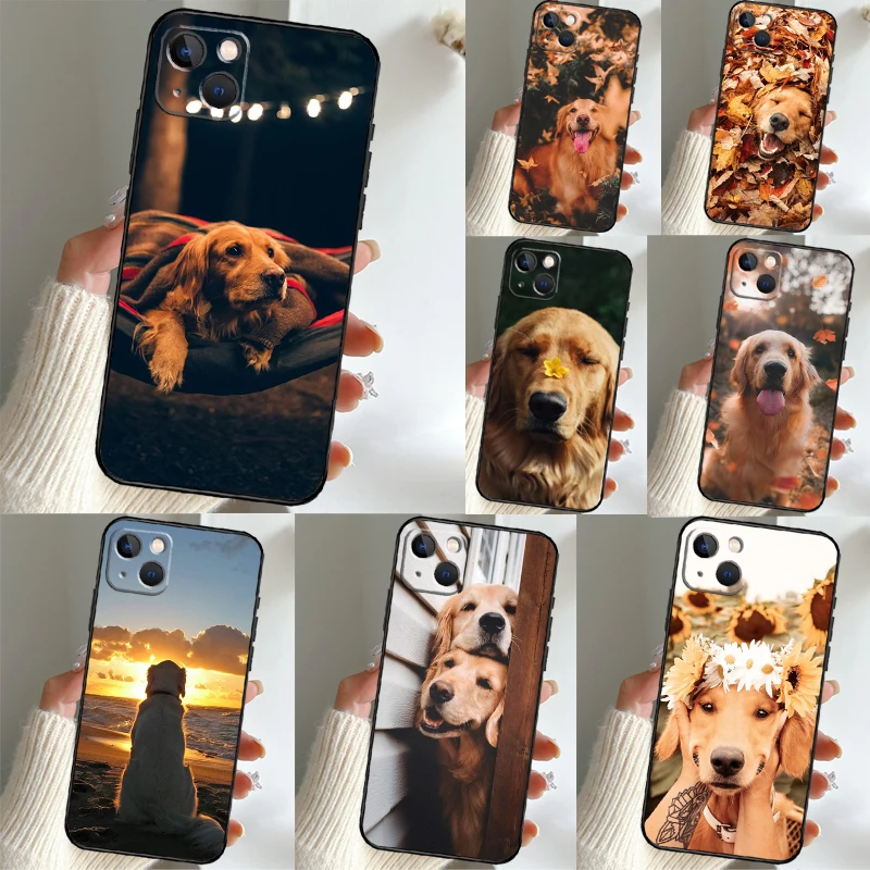 Golden Retriever Fr… - image