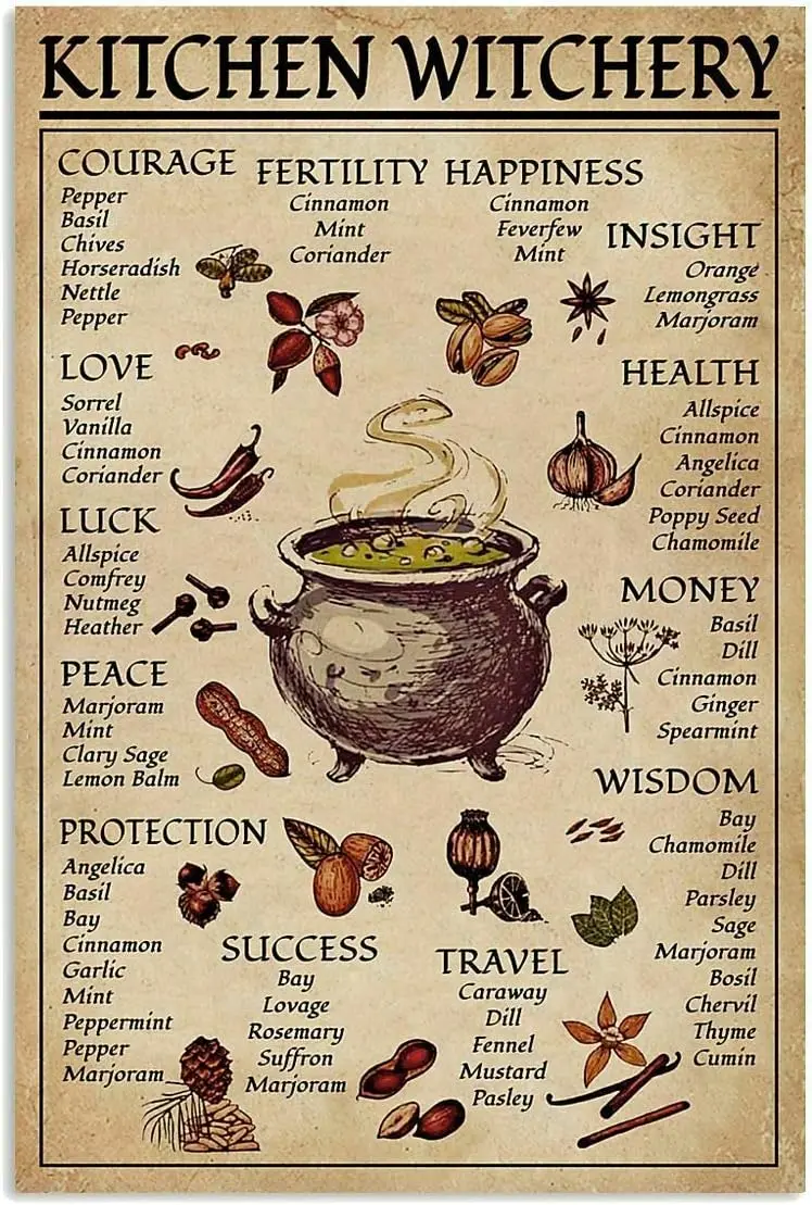 Spice and Cooking Herbs Witchcraft Witch Fun World Education Science Classroom Infographic Tin Sign Great Retro Gifts Decorative