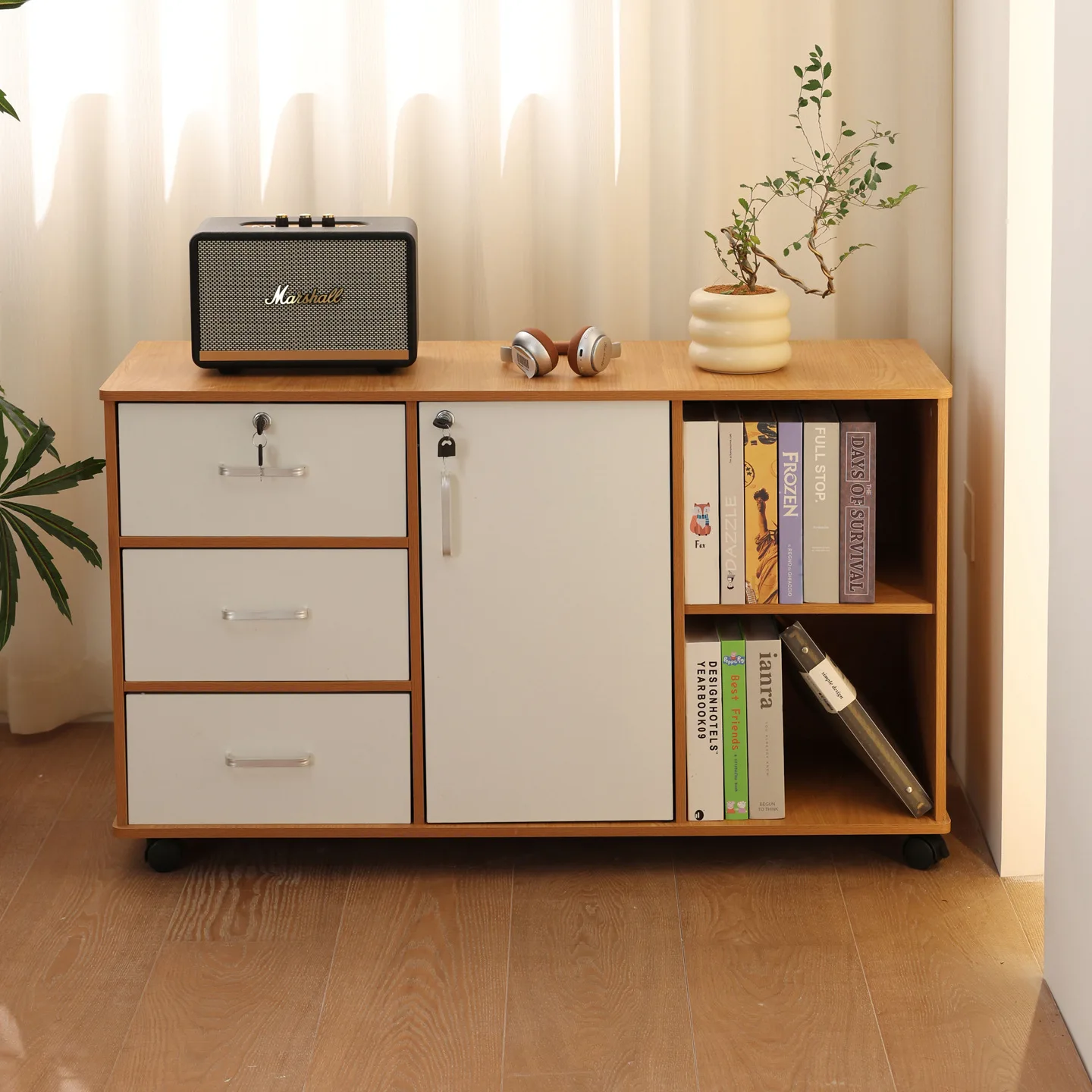File Cabinet Storage Cabinet Locker Office Cabinet Office Data Locker Drawer Desk Side