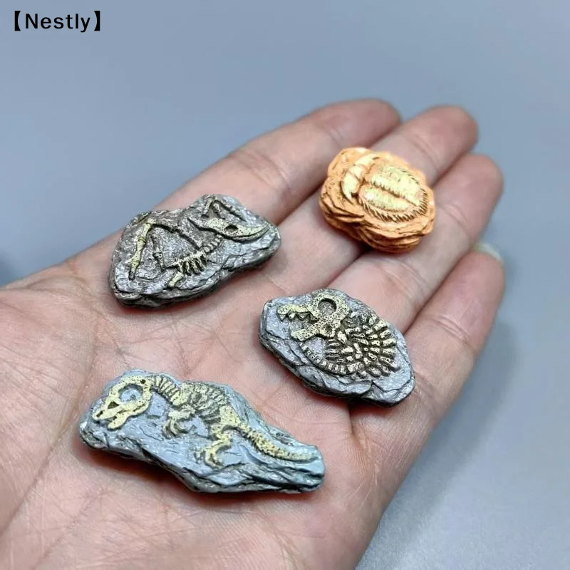 3/4/8pcs Realistic Mini Fossil Model Micro Landscape Desktop Decoration Ornaments,  Sand Tables/Bonsai/Photography Props〔Nest〕