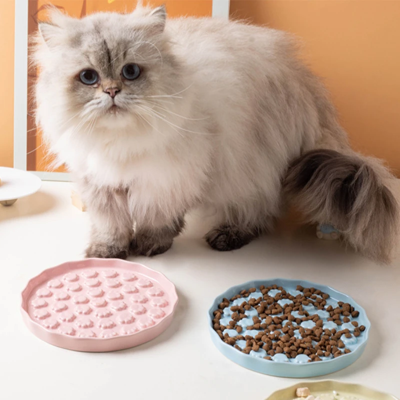 Slow Feeders Plates for Cats Dogs Pet Food Bowl Ceramic Utensils