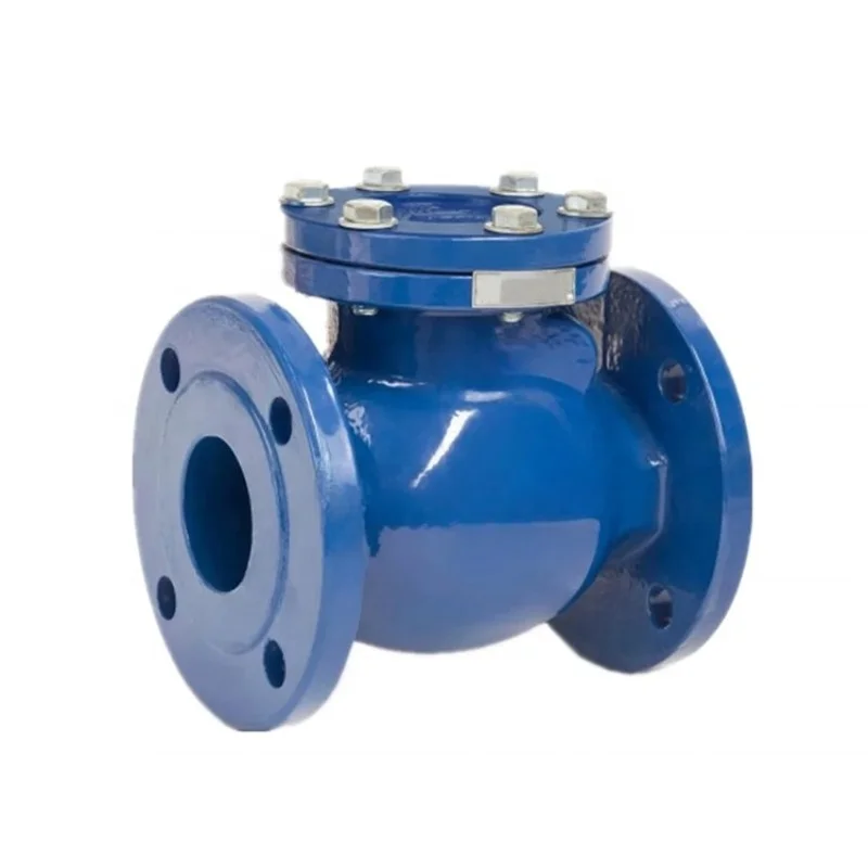 DN50~ DN800 Pornd 150~ 800 Adjustable Stainless Steel Swing Check Valve Type