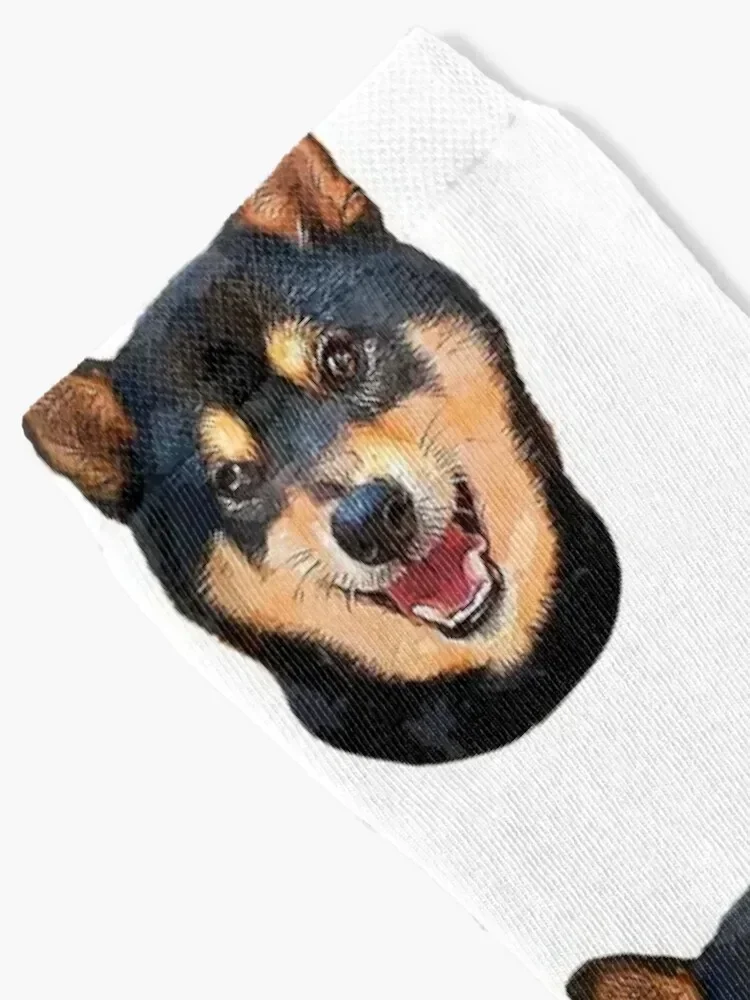 Shiba Inu black and tan dog Socks Stockings man luxury Crossfit essential Men Socks Women's