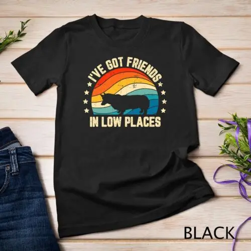 Retro Welsh Corgi I've Got Friends In Low Places T-Shirt Unisex T-shirt