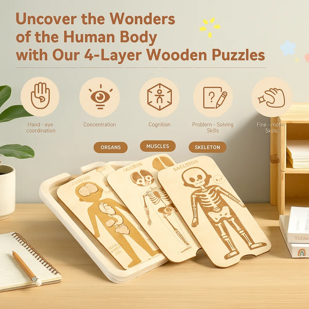 조립식 디자인 몬테소리 퍼즐 인체 모형 해부학 퍼즐 학습 교육용 인체 구조