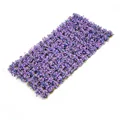 Purple Blue