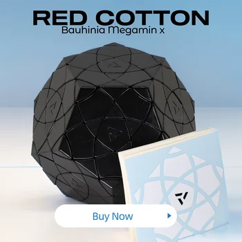 Magic cube AJ red cotton Dodecahedron Bauhinia Megamin x strange shape puzzles Cubos Magico Anti stress logic smart games 특큐브 브